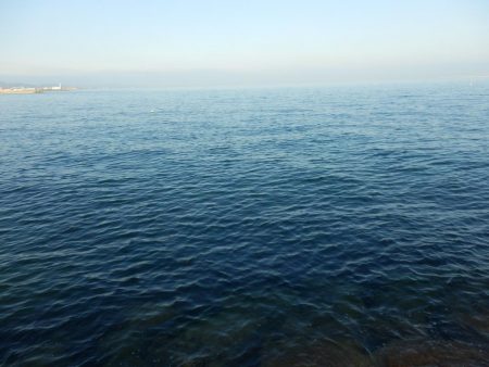 熱中症⁇超危険‼南大阪